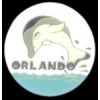 ORLANDO FLORIDA DOLPHIN PIN